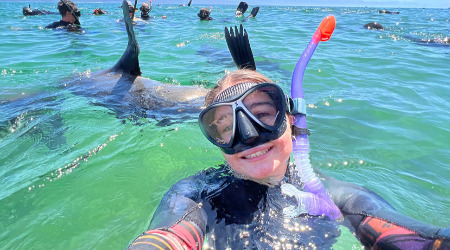 Seal Snorkelling Adventure